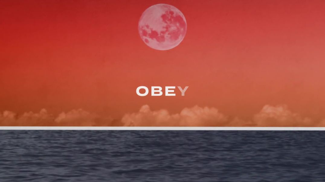 Soul Survivor (feat. Tom Smith) - Obey (Official Lyric Video)